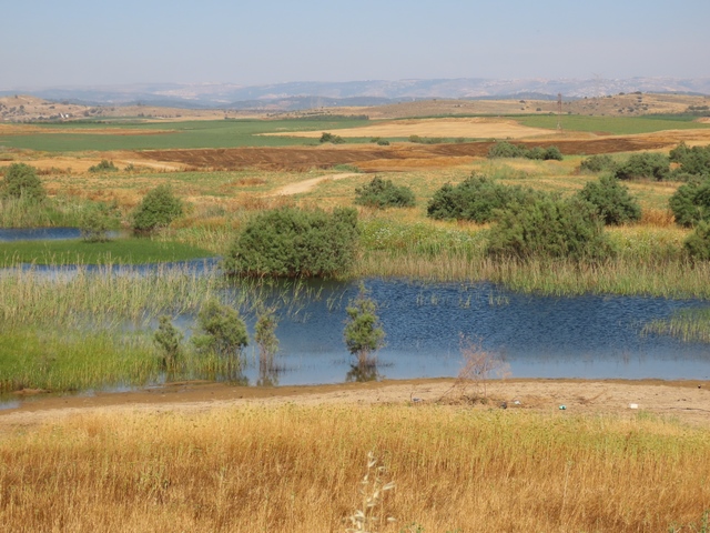 פיתוח מיזמים כלכליים במחצבת קדמה במסגרת אשכול שורק דרומי